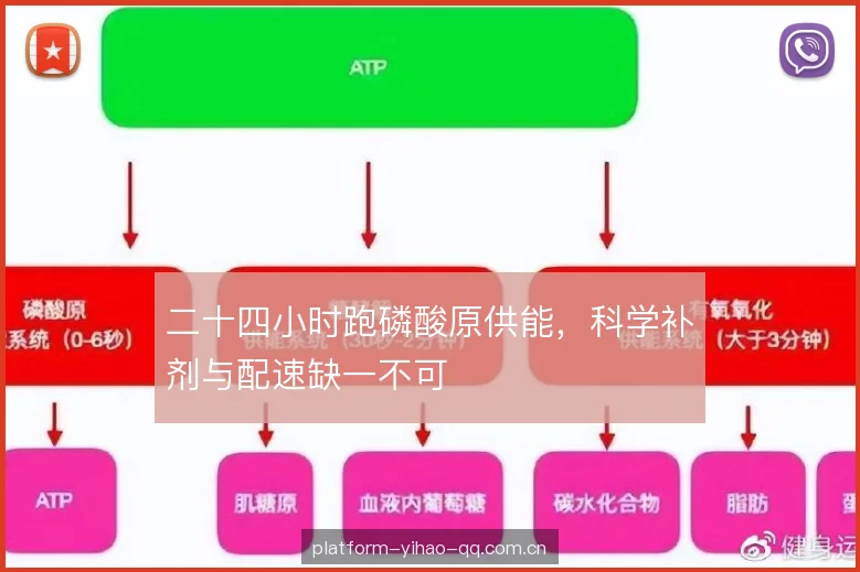 二十四小时跑磷酸原供能，科学补剂与配速缺一不可